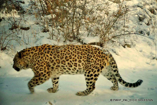 http://www.turkmenecolodge.com/files/photo/1201/ecc249275e3448a78c331c5c354d2ad7.jpg
